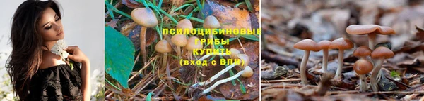 марки lsd Вязьма