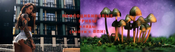 соль курить ск Вяземский